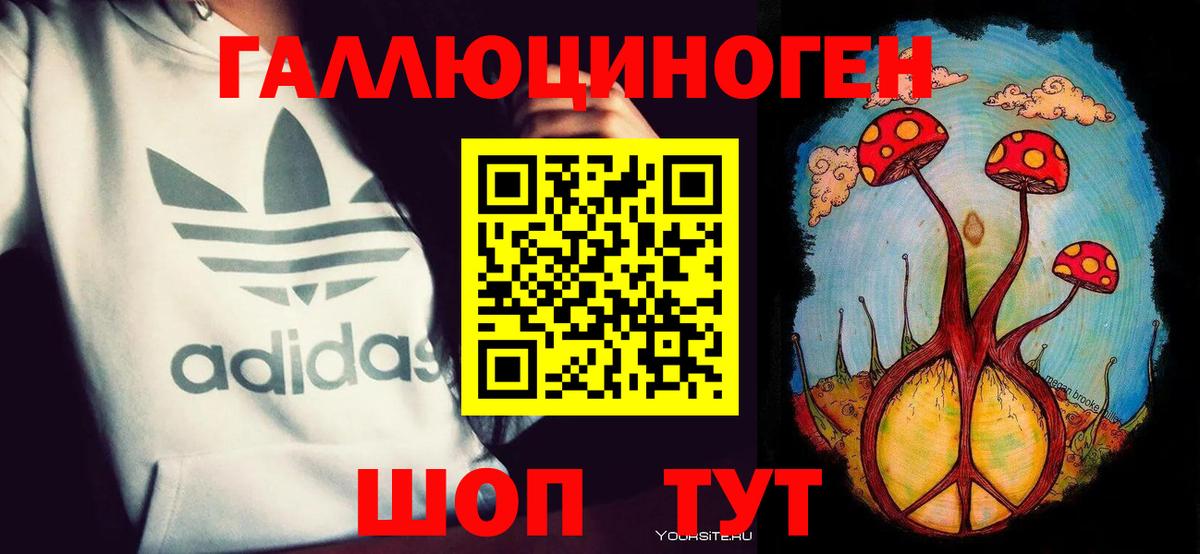 где купить   Вход с VPN  Тобольск  Псилоцибиновые грибы Psilocybe 