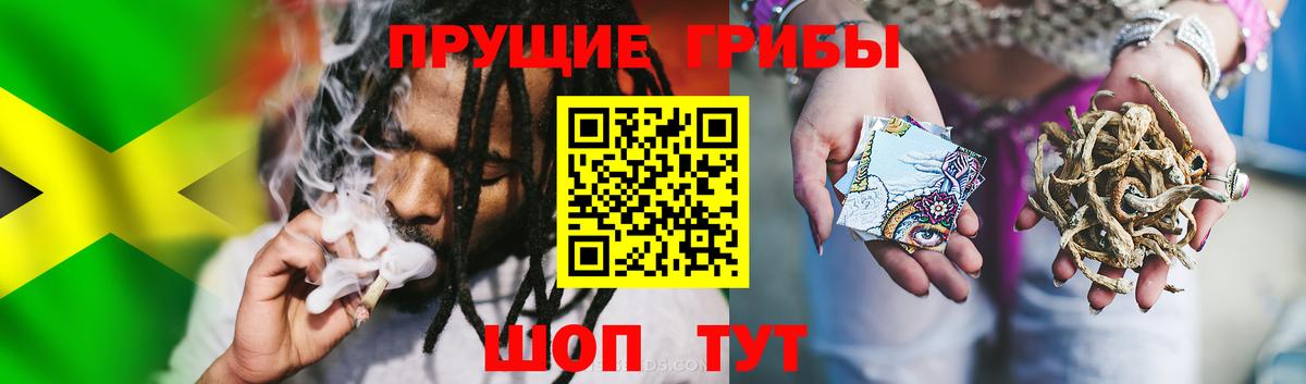 Галлюциногенные грибы ЛСД Тобольск